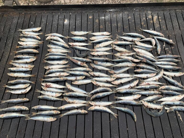 Marenda na Korzu: 3.000 porcija za Uskrs u centru Rijeke